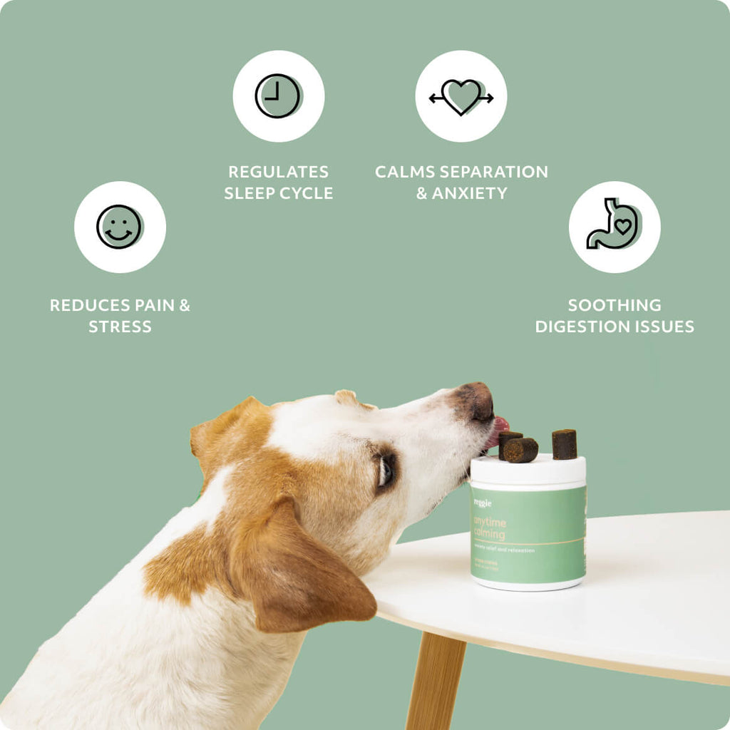 Anytime Calming
