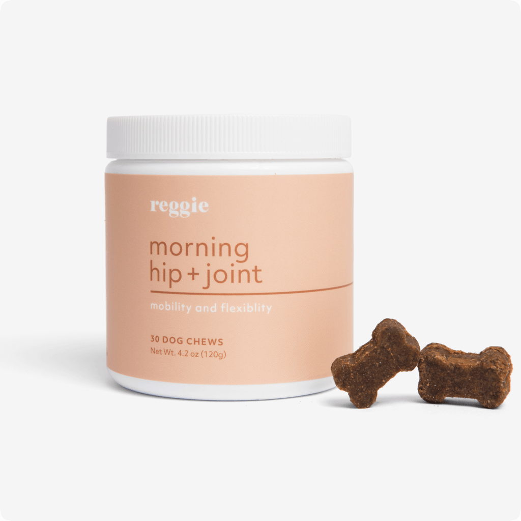Morning Hip + Joint